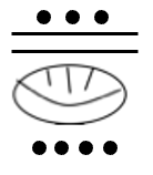 Mayan Numeral